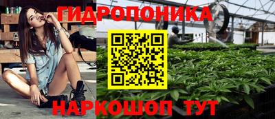 эйфоретик Дубна
