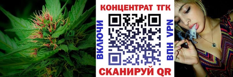 ТГК Wax  Славгород 