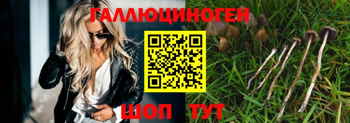 Славгород  Галлюциногенные грибы ЛСД  Вход с VPN  где найти наркотики  Псилоцибиновые грибы ЛСД 