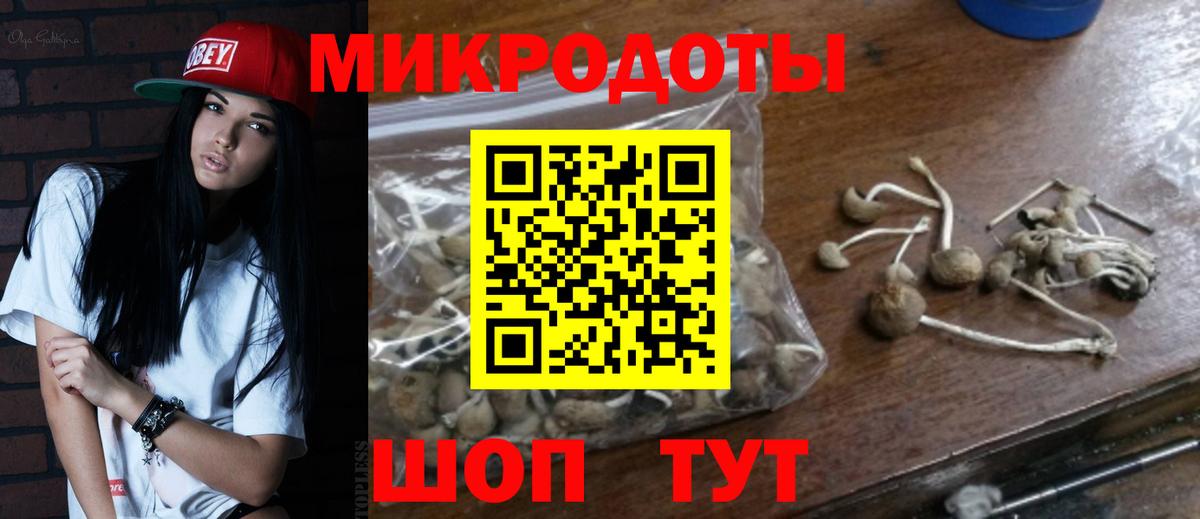 Галлюциногенные грибы Cubensis Славгород
